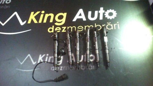 Injector Audi A6 Avant (4B5, C5) Break 2004 2.5 TDI 1