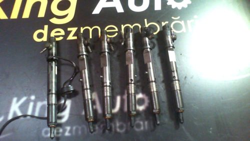 Injector Audi A6 Avant (4B5, C5) Break 2004 2.5 TDI