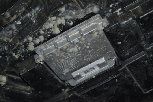 _DSC0011_640x427
