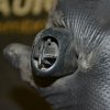 _DSC0036_1280x853