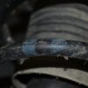_DSC0055_1280x853