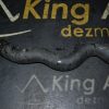 _DSC0010_800x533