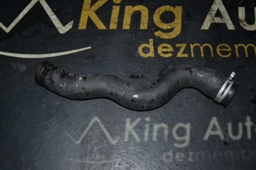 _DSC0010_800x533