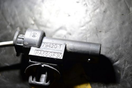 _DSC0015_800x533 _DSC0015_800x533