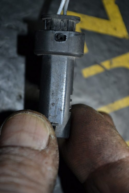 _DSC0016_800x533 _DSC0016_800x533