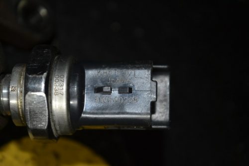 _DSC0042_800x533 _DSC0042_800x533