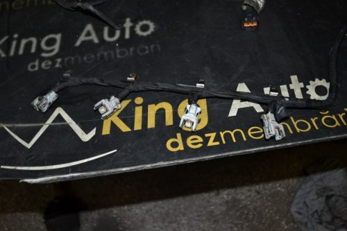 _DSC0044_800x533