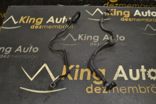 _DSC0050_800x533 _DSC0050_800x533