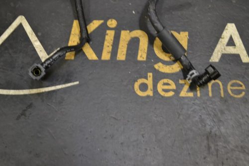 _DSC0051_800x533 _DSC0051_800x533