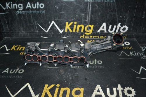 _DSC0056_800x533 _DSC0056_800x533