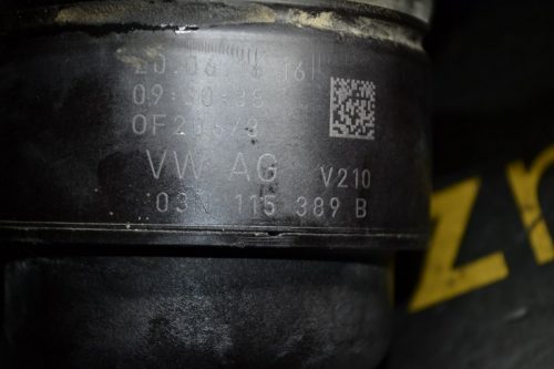 _DSC0061_800x533 _DSC0061_800x533