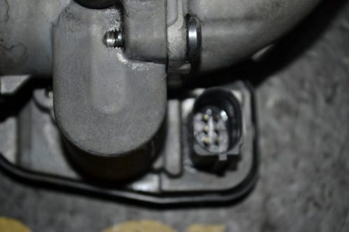 _DSC0069_800x533