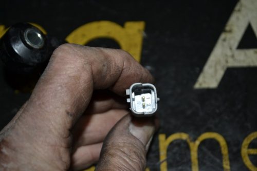 _DSC0075_800x533 _DSC0075_800x533