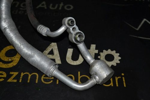 _DSC0080_800x533 _DSC0080_800x533