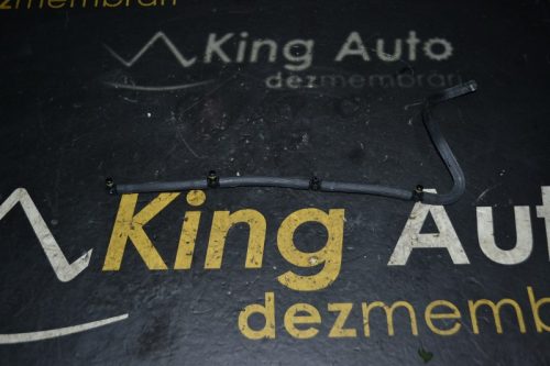 _DSC0082_800x533 _DSC0082_800x533