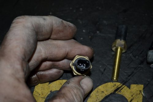 _DSC0099_800x533 _DSC0099_800x533