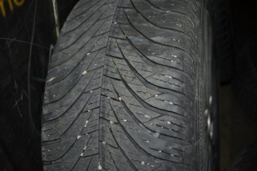 _DSC0008_640x427 _DSC0008_640x427