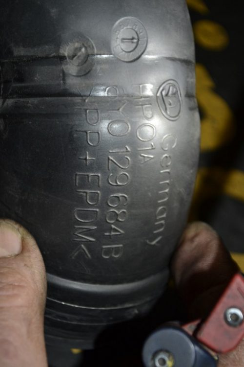 _DSC0028_800x533 _DSC0028_800x533