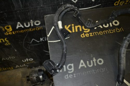 _DSC0030_800x533 _DSC0030_800x533