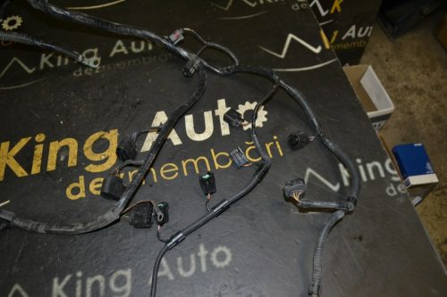 _DSC0031_800x533 _DSC0031_800x533