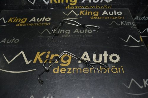 _DSC0040_800x533 _DSC0040_800x533