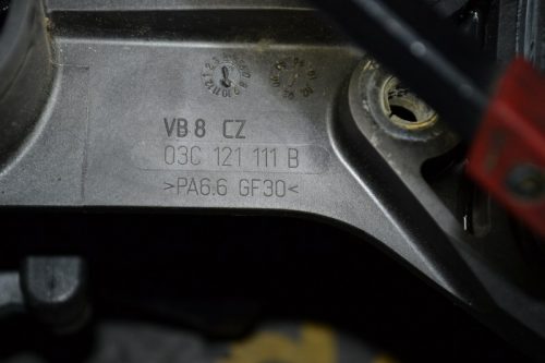 _DSC0054_800x533 _DSC0054_800x533