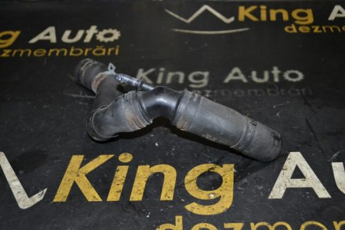 _DSC0068_800x533 _DSC0068_800x533