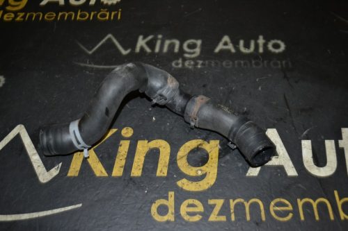 _DSC0069_800x533 _DSC0069_800x533