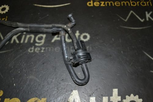 _DSC0075_800x533 _DSC0075_800x533