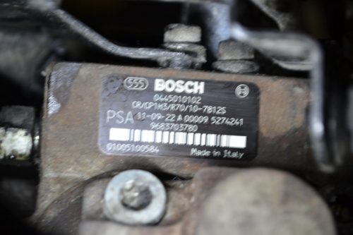 _DSC0080_800x533 _DSC0080_800x533