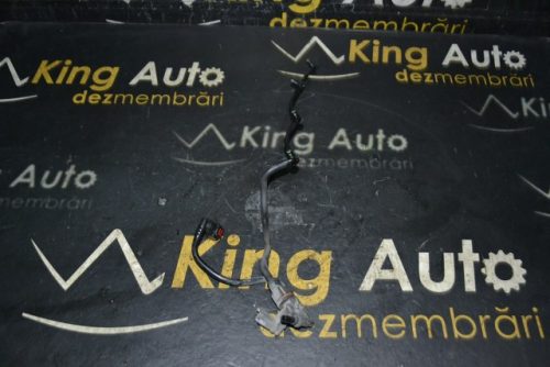 _DSC0081_640x427 _DSC0081_640x427