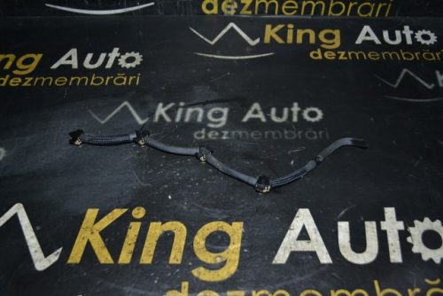 _DSC0018_640x427 _DSC0018_640x427