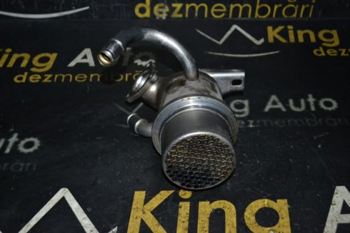 _DSC0036_640x427 _DSC0036_640x427