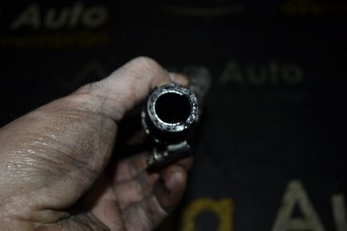 _DSC0050_640x427 _DSC0050_640x427