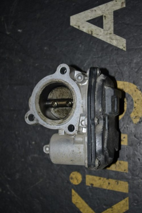 _DSC0056_1024x683 – Copy