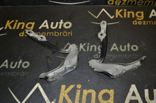 _DSC0081_1024x683 _DSC0081_1024x683