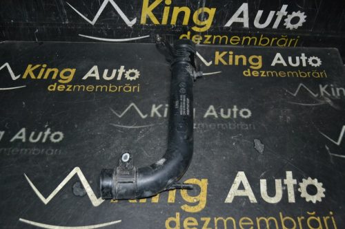 _DSC0096_1024x683 – Copy