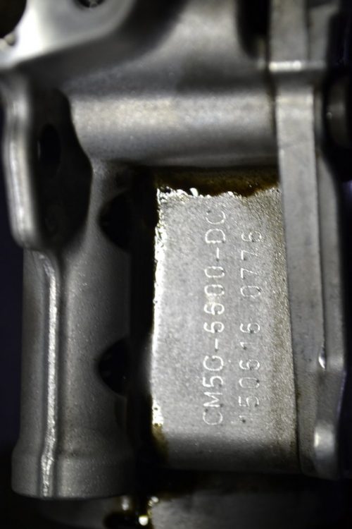 _DSC0098_1024x683 _DSC0098_1024x683