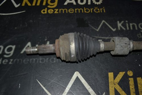 _DSC0035_1024x683 _DSC0035_1024x683