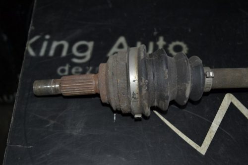 _DSC0039_1024x683 _DSC0039_1024x683