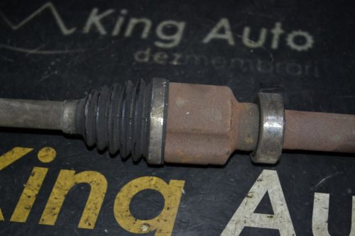 _DSC0040_1024x683 _DSC0040_1024x683