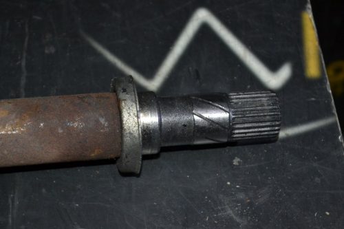 _DSC0041_1024x683 _DSC0041_1024x683