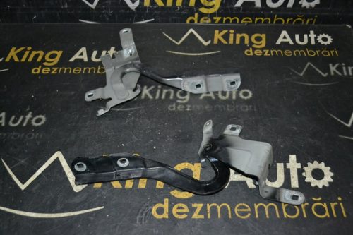 _DSC0044_1024x683 _DSC0044_1024x683