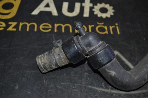 _DSC0065_1024x683 _DSC0065_1024x683