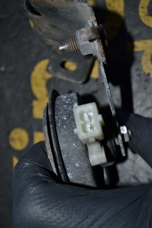 _DSC0095_1024x683 _DSC0095_1024x683