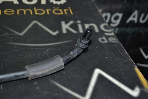 _DSC0033_1024x683 _DSC0033_1024x683