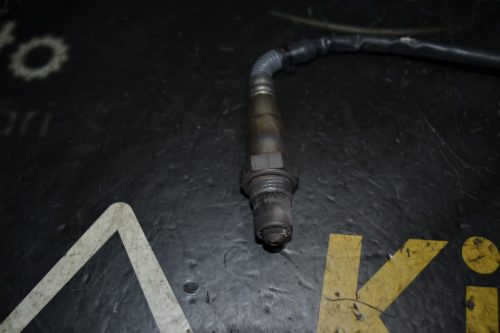 _DSC0088_1024x683 _DSC0088_1024x683