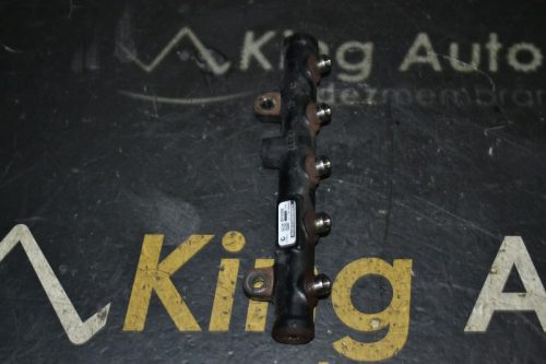 _DSC0020_800x533 _DSC0020_800x533