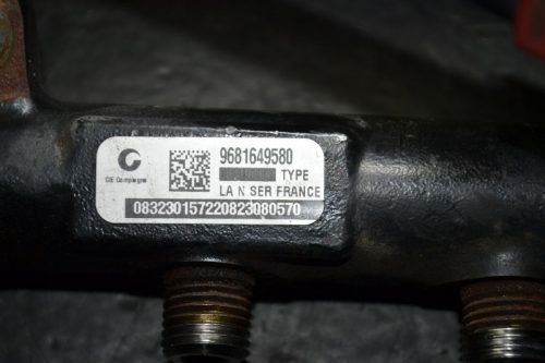 _DSC0021_800x533 _DSC0021_800x533