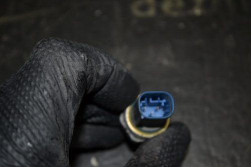 _DSC0050_800x533 _DSC0050_800x533